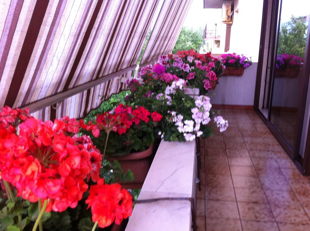 Casa Mia Bed & Breakfast Alghero