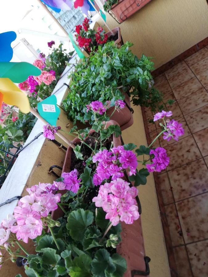 Casa Mia Bed & Breakfast
